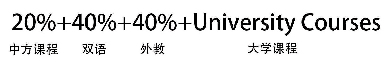 国际高中IP班课程教学